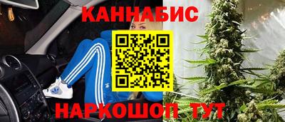 шишки Кингисепп