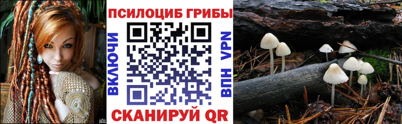 наркота  Корсаков  Галлюциногенные грибы мухоморы 