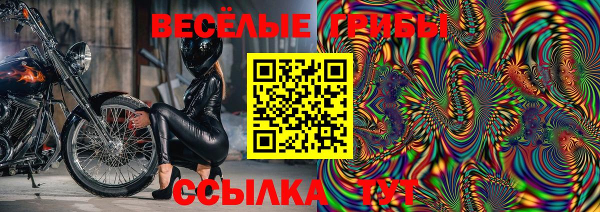 Галлюциногенные грибы Cubensis  Псилоцибиновые грибы прущие грибы  Корсаков  Вход с VPN 