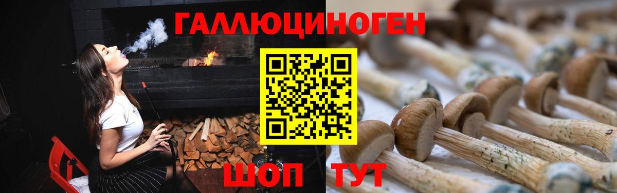 Галлюциногенные грибы мицелий Корсаков