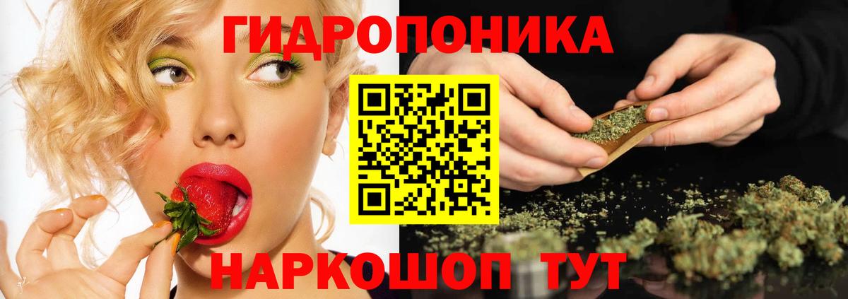 Корсаков  Бошки Шишки сатива  Вход с VPN  Канабис семена  Бошки Шишки AK-47 